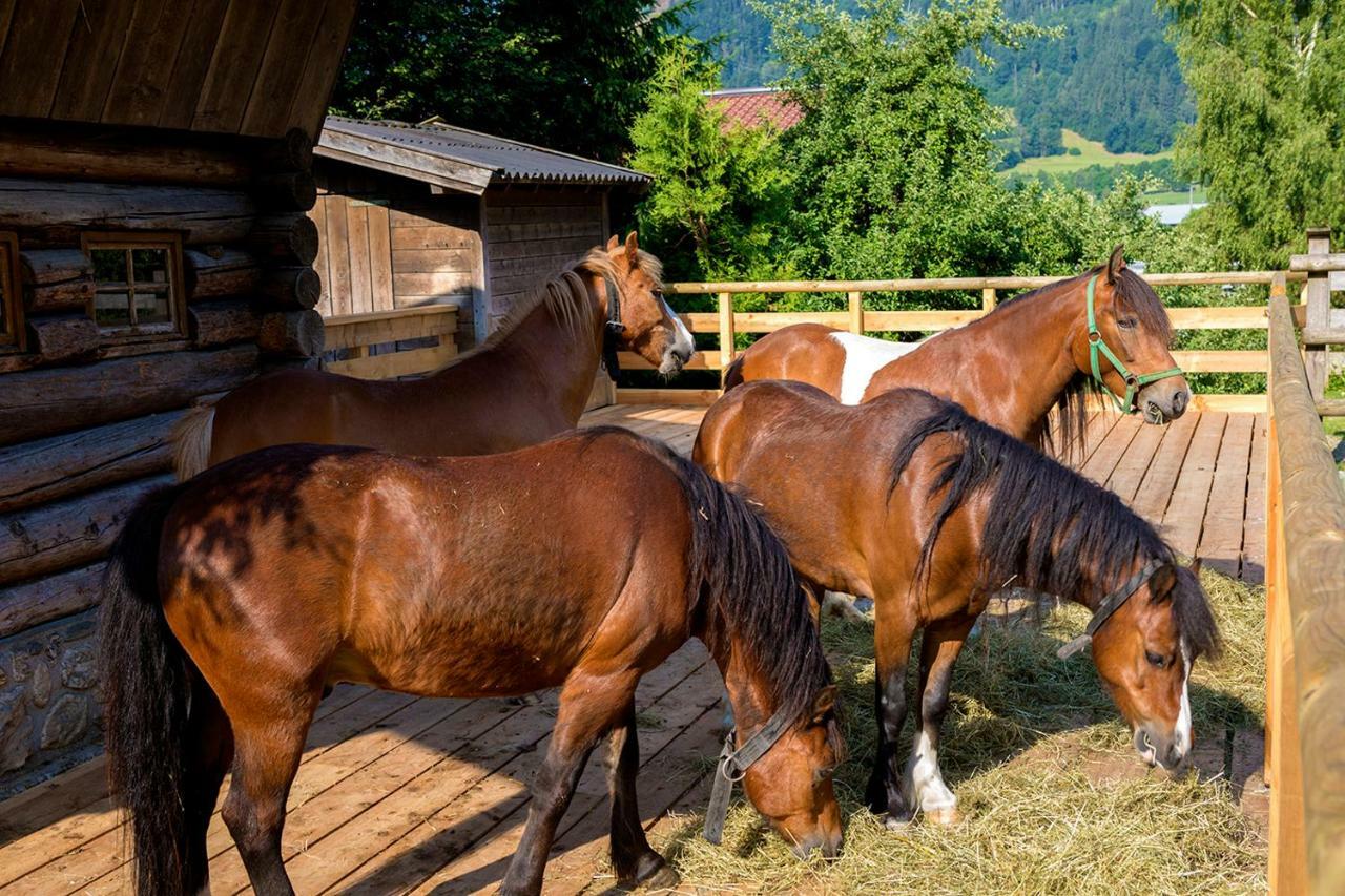 Ferienhaus / Chalet Lerch Villa Sankt Johann im Pongau Eksteriør bilde